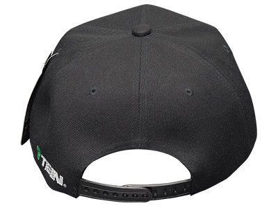 TEIN Flat Bill Cap